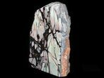 Polished, Free-Standing Outback Jasper - Reduced Price #64789-1
